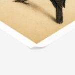Poster VINTAGE DARK ACADEMIA BIRD 8