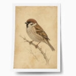 Poster VINTAGE DARK ACADEMIA BIRD 9