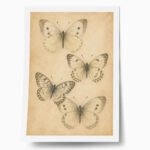 Poster VINTAGE DARK ACADEMIA BUTTERFLIES 2