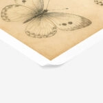 Poster VINTAGE DARK ACADEMIA BUTTERFLIES 2