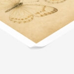 Poster VINTAGE DARK ACADEMIA BUTTERFLIES 4