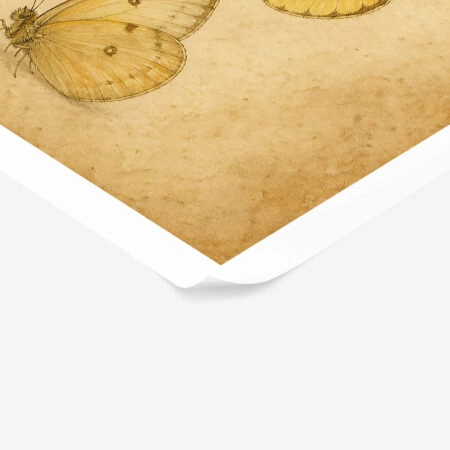 Poster VINTAGE DARK ACADEMIA BUTTERFLIES 5 -  Sticky 1