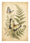 Poster VINTAGE DARK ACADEMIA BUTTERFLIES 6