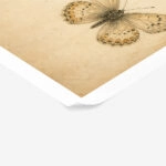 Poster VINTAGE DARK ACADEMIA BUTTERFLIES 7