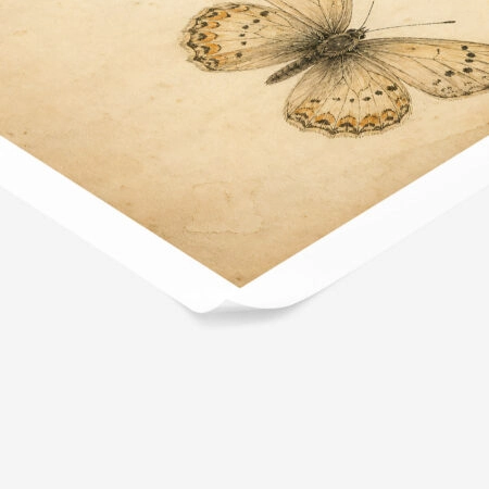 Poster VINTAGE DARK ACADEMIA BUTTERFLIES 7 -  Sticky 1