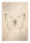 Poster VINTAGE DARK ACADEMIA BUTTERFLY 2
