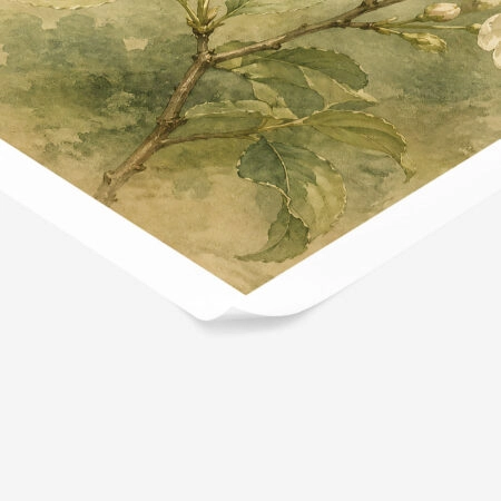 Poster VINTAGE DARK ACADEMIA BUTTERFLY 5 -  Sticky 1