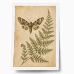 Poster VINTAGE DARK ACADEMIA BUTTERFLY AND FERN