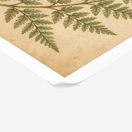 Poster VINTAGE DARK ACADEMIA BUTTERFLY AND FERN -  Sticky 1