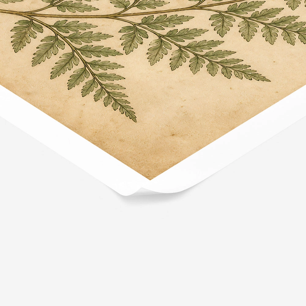 Poster VINTAGE DARK ACADEMIA BUTTERFLY AND FERN