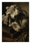 Poster VINTAGE DARK ACADEMIA DEAD FLOWERS