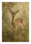 Poster VINTAGE DARK ACADEMIA DEER 2