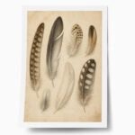 Poster VINTAGE DARK ACADEMIA FEATHERS