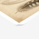 Poster VINTAGE DARK ACADEMIA FEATHERS