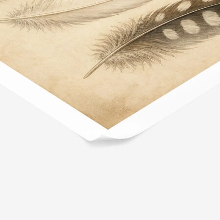 Poster VINTAGE DARK ACADEMIA FEATHERS -  Sticky 1