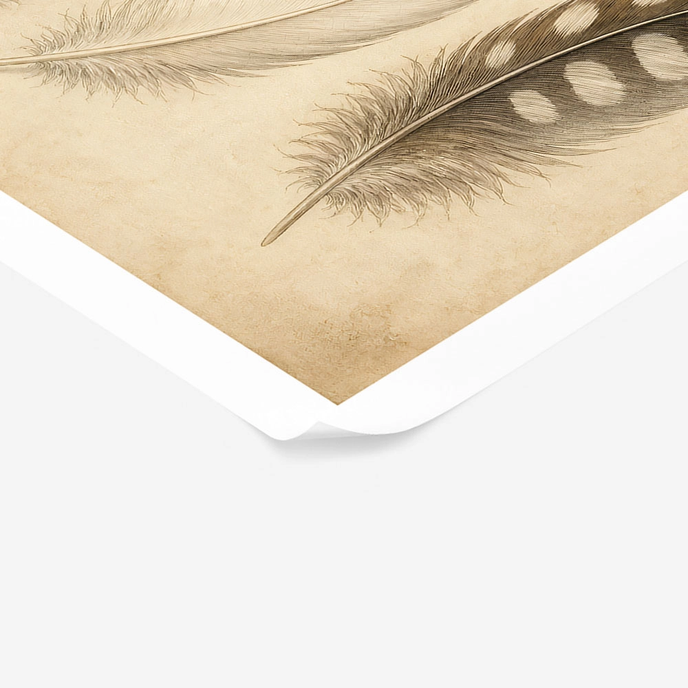 Poster VINTAGE DARK ACADEMIA FEATHERS