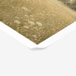 Poster VINTAGE DARK ACADEMIA FIELD 2