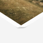 Poster VINTAGE DARK ACADEMIA FIELD 3