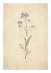 Poster VINTAGE DARK ACADEMIA FLOWERS 3
