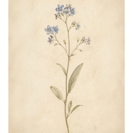 Poster VINTAGE DARK ACADEMIA FLOWERS 3 -  Sticky 2