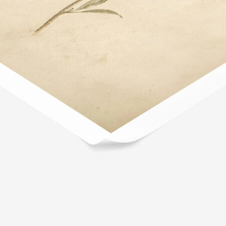 Poster VINTAGE DARK ACADEMIA FLOWERS 3 -  Sticky 1