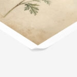 Poster VINTAGE DARK ACADEMIA FLOWERS 4