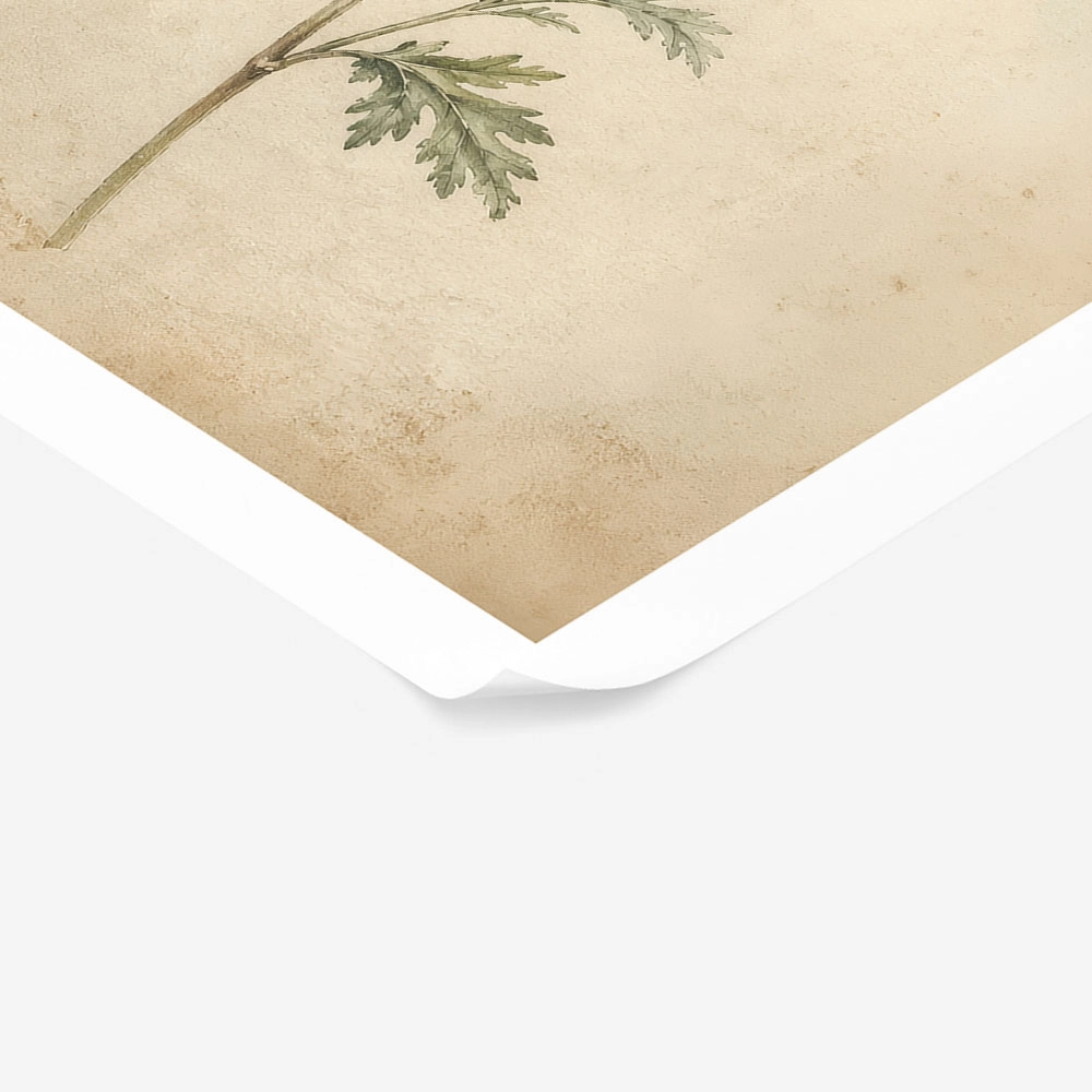 Poster VINTAGE DARK ACADEMIA FLOWERS 4