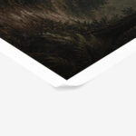 Poster VINTAGE DARK ACADEMIA FOREST PATH