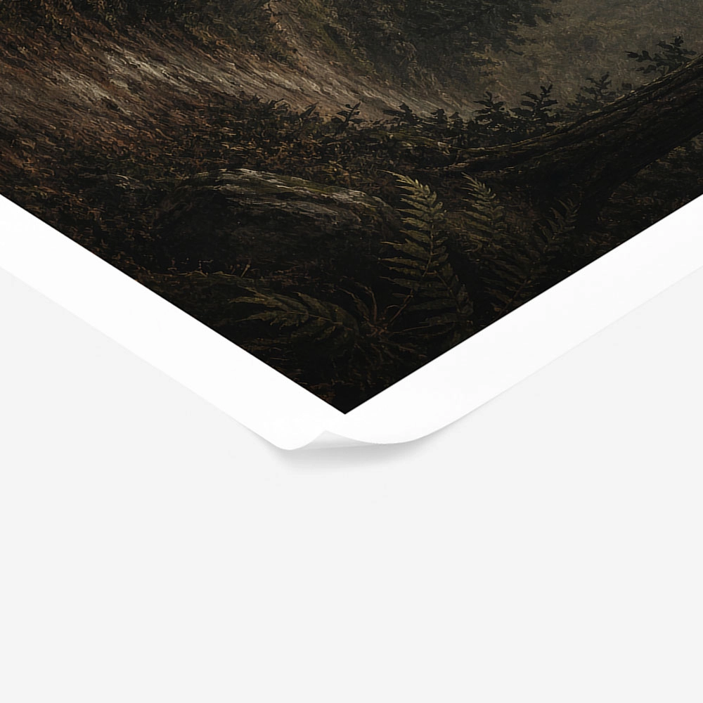 Poster VINTAGE DARK ACADEMIA FOREST PATH