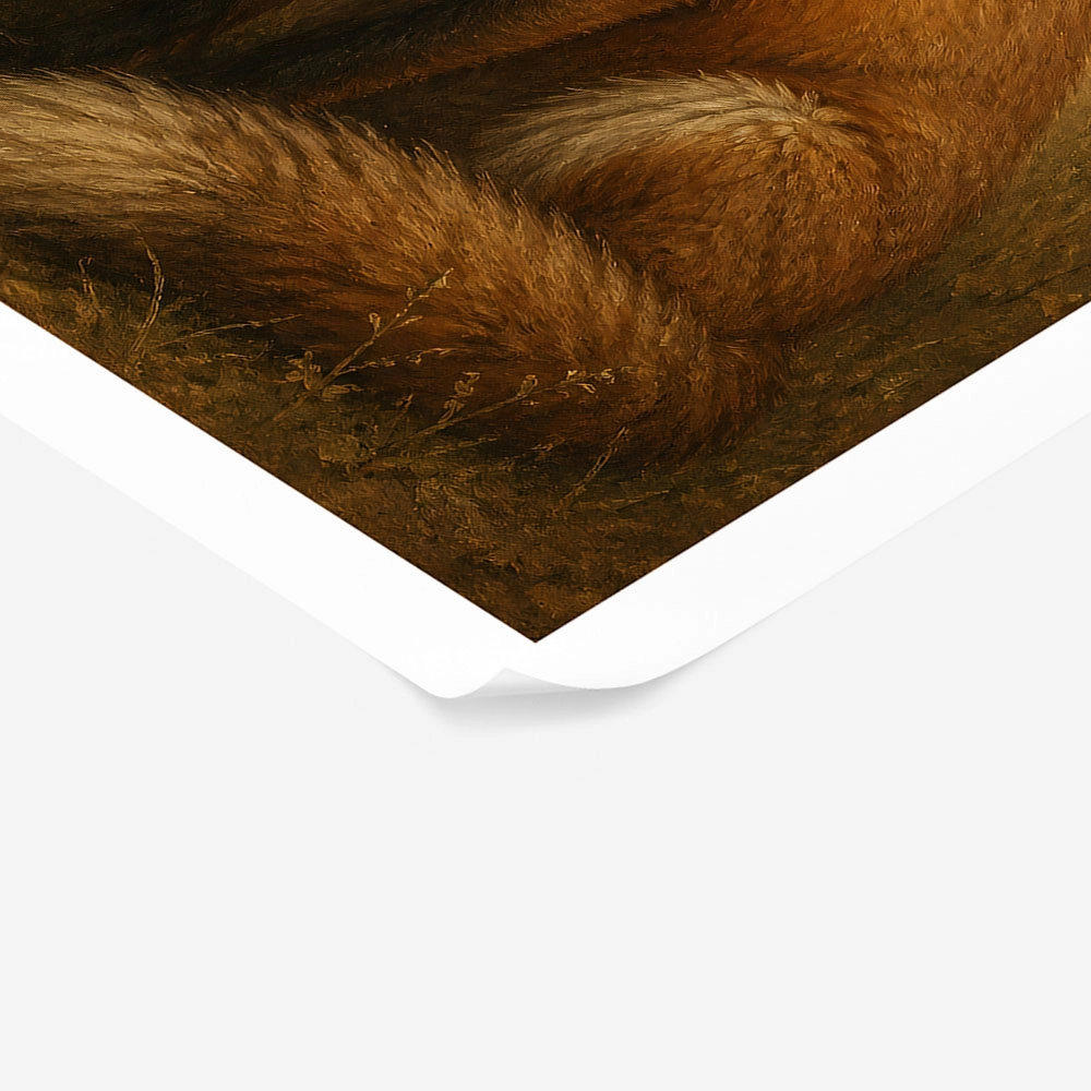 Poster VINTAGE DARK ACADEMIA FOX