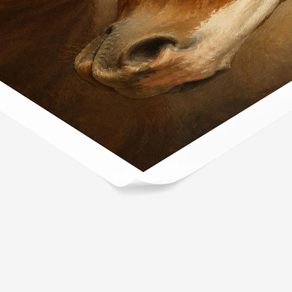 Poster VINTAGE DARK ACADEMIA HORSE 10