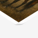 Poster VINTAGE DARK ACADEMIA HORSE 8