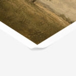 Poster VINTAGE DARK ACADEMIA LONE TREE 4