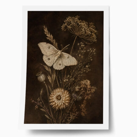 Poster VINTAGE DARK ACADEMIA MOTH - 