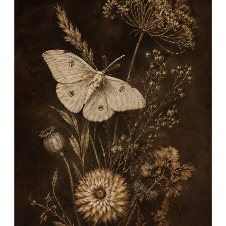 Poster VINTAGE DARK ACADEMIA MOTH -  Sticky 2