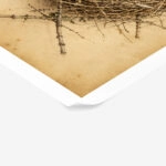 Poster VINTAGE DARK ACADEMIA NEST 2