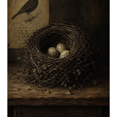 Poster VINTAGE DARK ACADEMIA NEST -  Sticky 2