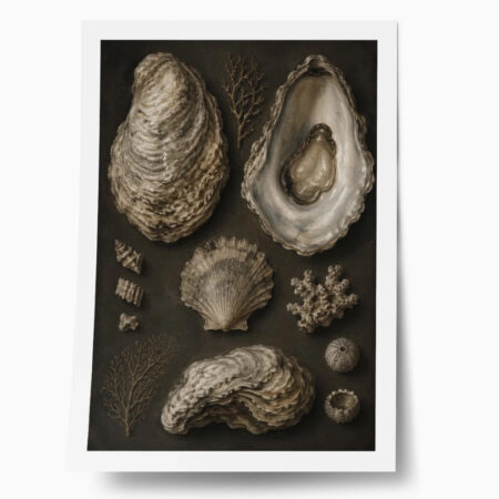 Poster VINTAGE DARK ACADEMIA OYSTERS - 
