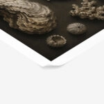 Poster VINTAGE DARK ACADEMIA OYSTERS