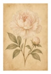 Poster VINTAGE DARK ACADEMIA PLANT 10