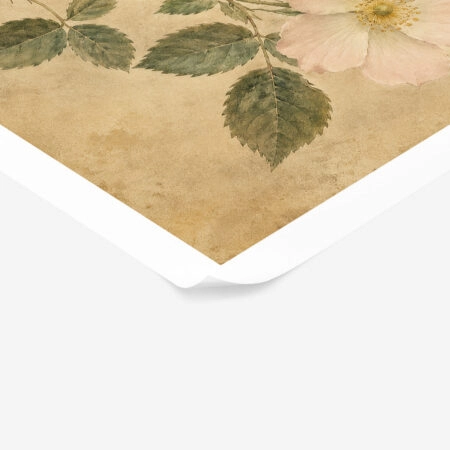 Poster VINTAGE DARK ACADEMIA PLANT 12 -  Sticky 1