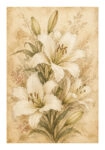 Poster VINTAGE DARK ACADEMIA PLANT 13