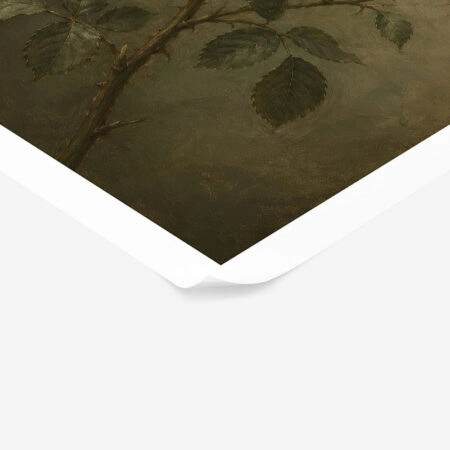 Poster VINTAGE DARK ACADEMIA PLANT 14 -  Sticky 1