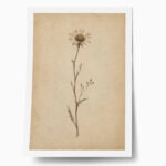Poster VINTAGE DARK ACADEMIA PLANT 15