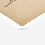 Poster VINTAGE DARK ACADEMIA PLANT 15