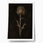 Poster VINTAGE DARK ACADEMIA PLANT 16