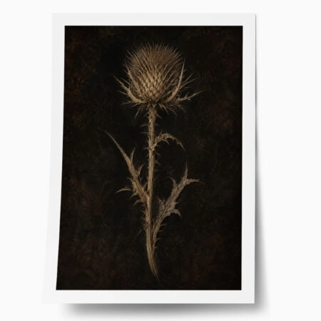 Poster VINTAGE DARK ACADEMIA PLANT 16 - 