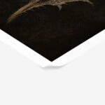 Poster VINTAGE DARK ACADEMIA PLANT 16