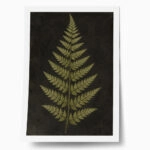 Poster VINTAGE DARK ACADEMIA PLANT 17
