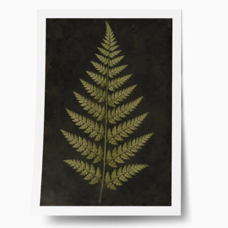 Poster VINTAGE DARK ACADEMIA PLANT 17 - 